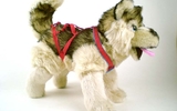 00151 Husky And Harness, Standing, 13 Inch