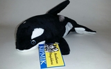 00600 1 Killer Whale, 9 Inch, Front View