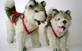 00151 And 00158 151 Husky, 13 Inch, Harness, Standing 158 Husky, 9 Inch, Harness, Standing