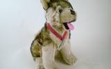 00152 Husky, 11 Inch, Harness, Sitting